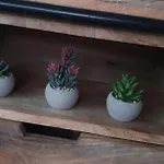 Apartmán Faro 1